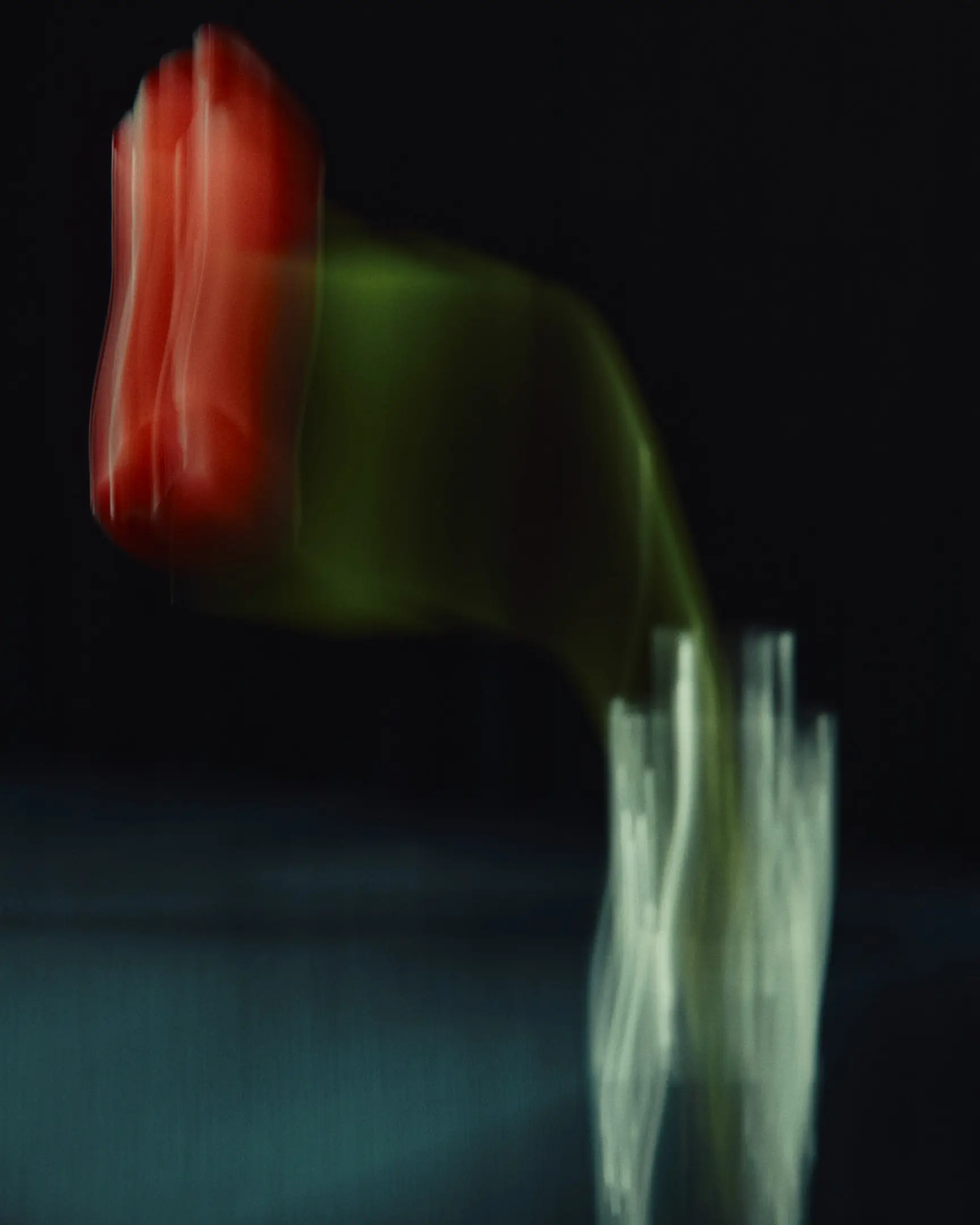 Annotations is a floral still life personal project featuring an Icelandic poppy in a vintage vase, set abasing a dark background. The image has saturated colors and a large motion blur, personifying the flower itself. The arrangements in this project include flowers like tulips and Icelandic poppies. This project was shot and completed in Phoenix, AZ in 2022.  