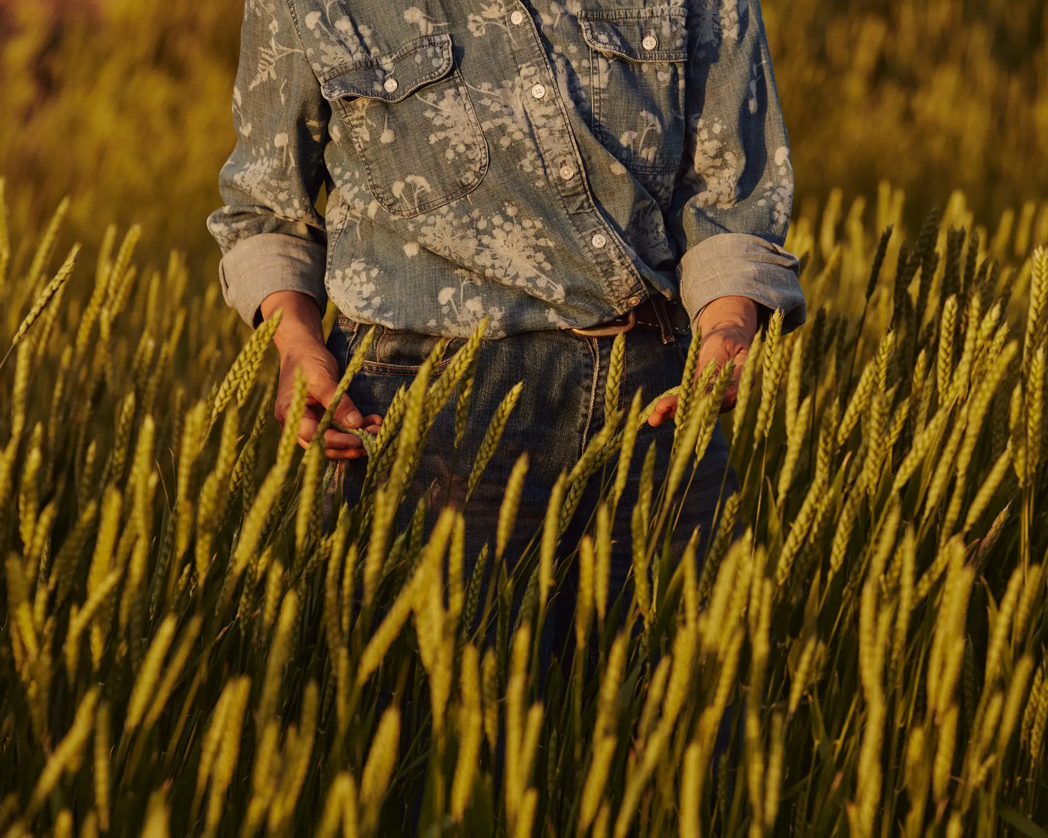 Commission from NYT covering drought farming. 