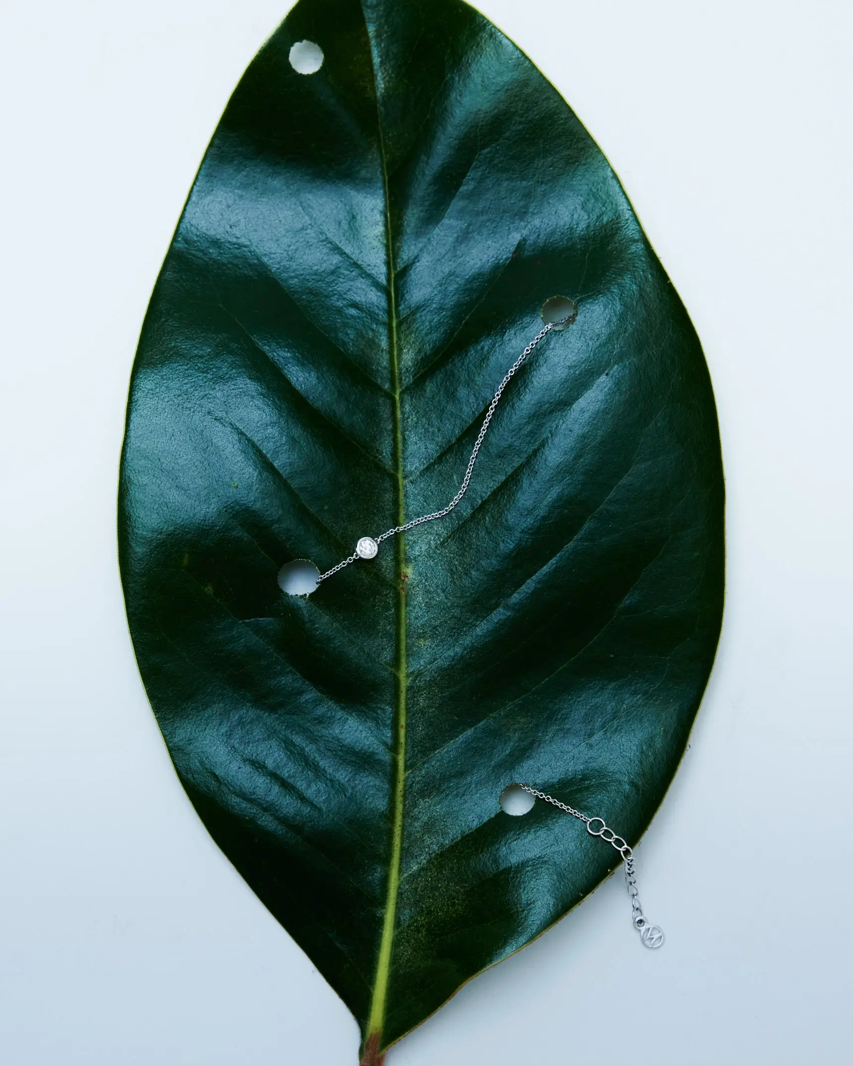Magnolia leaf and bracelet